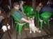 Godot - Halloween 2004 061